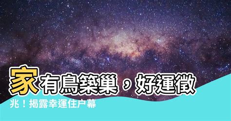 家中有鳥來築巢|【家有鳥築巢】鳥兒來我家築巢！吉祥預兆藏玄機，提。